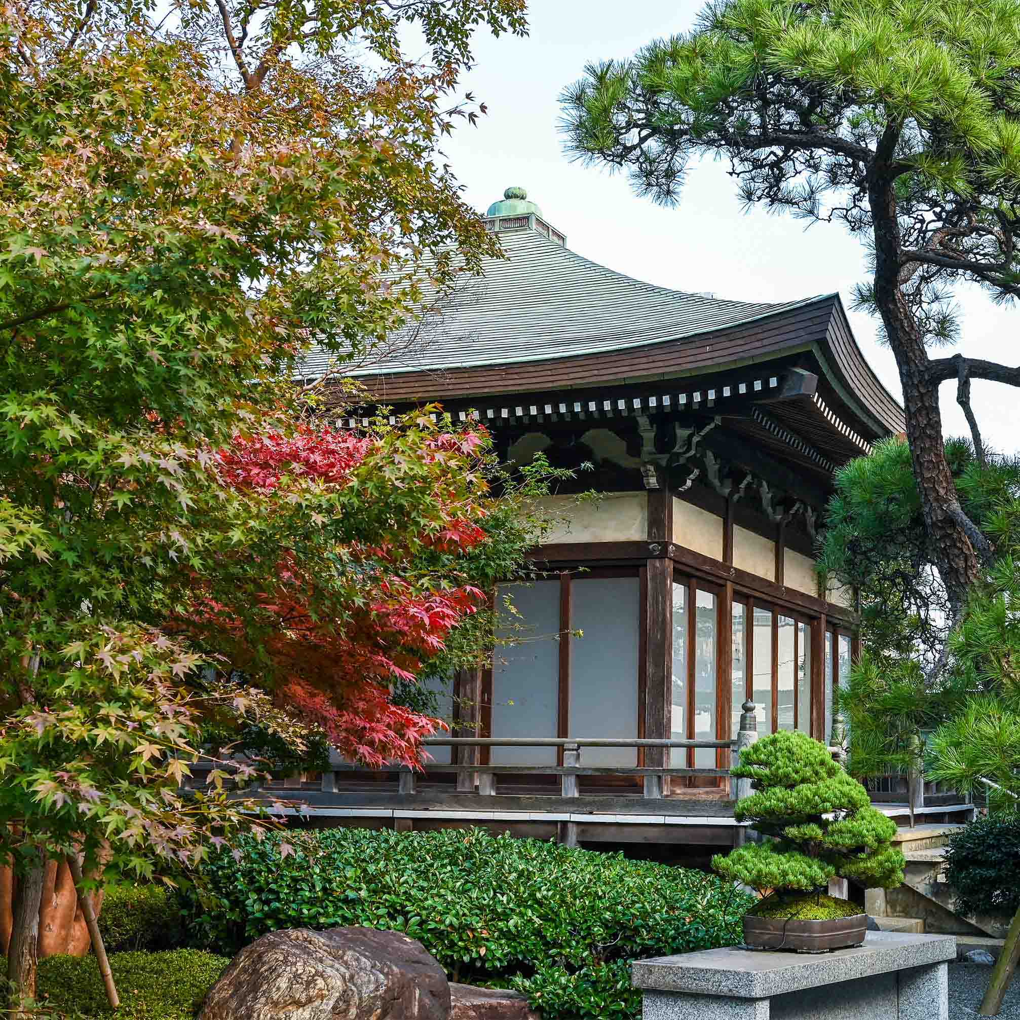 樹源寺ホームページ