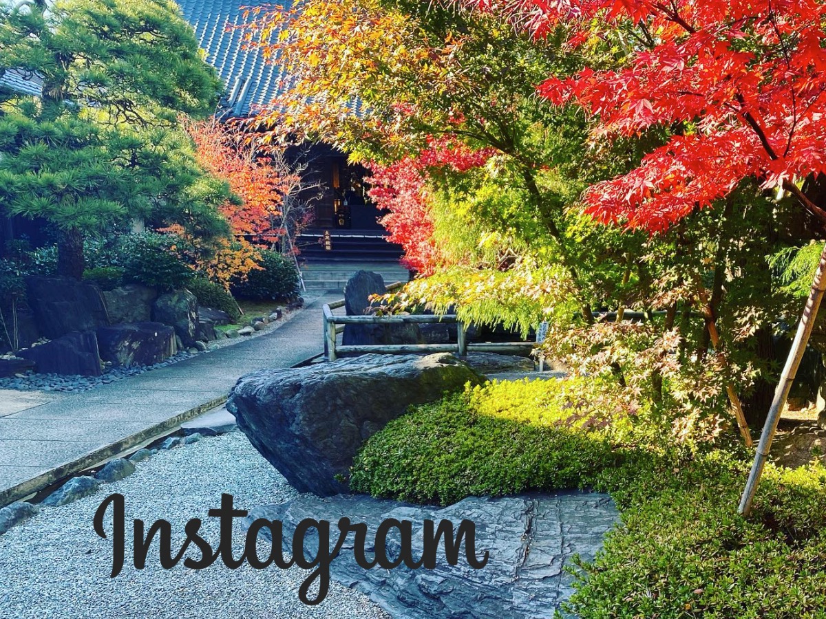 樹源寺インスタグラム